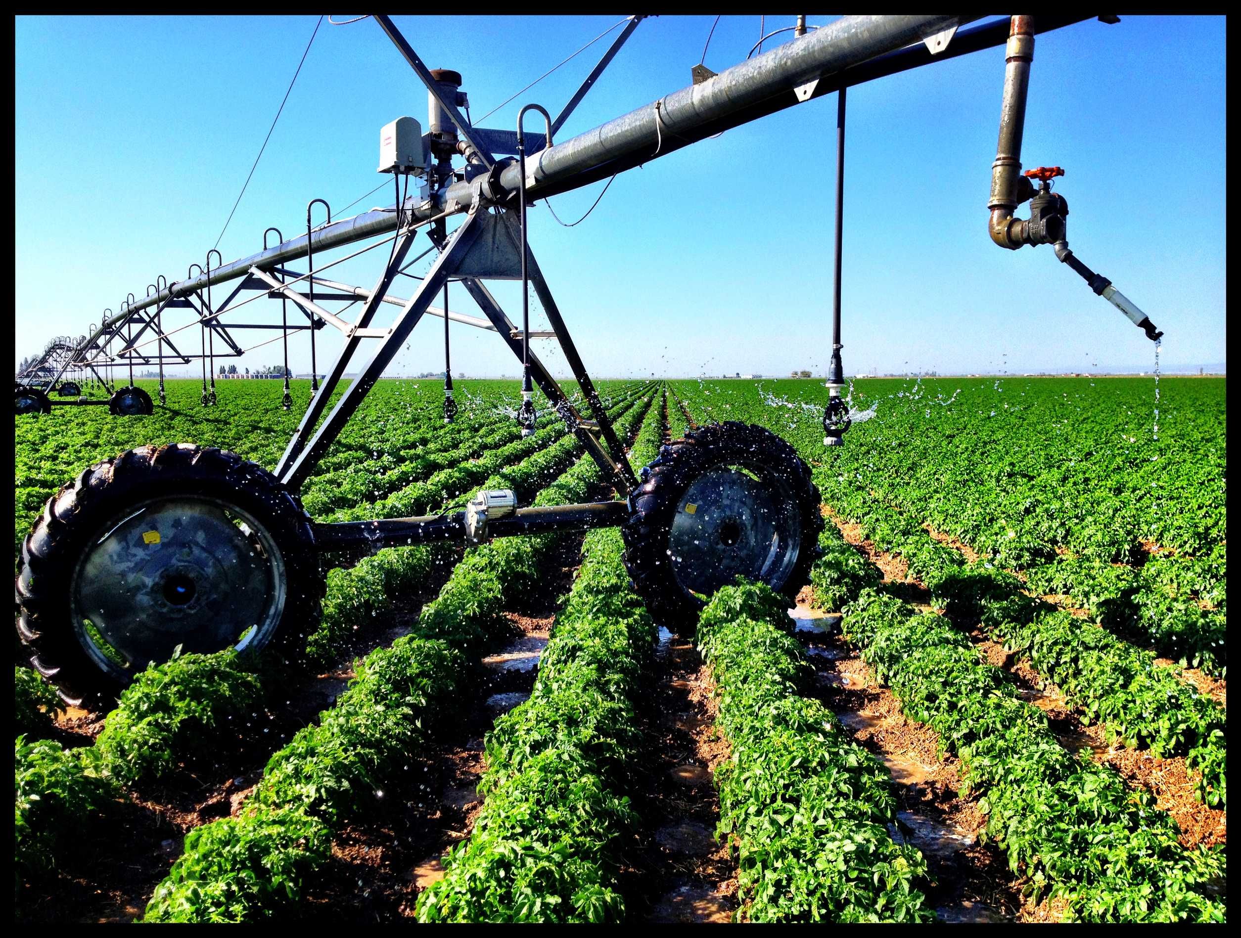 Water Irrigation